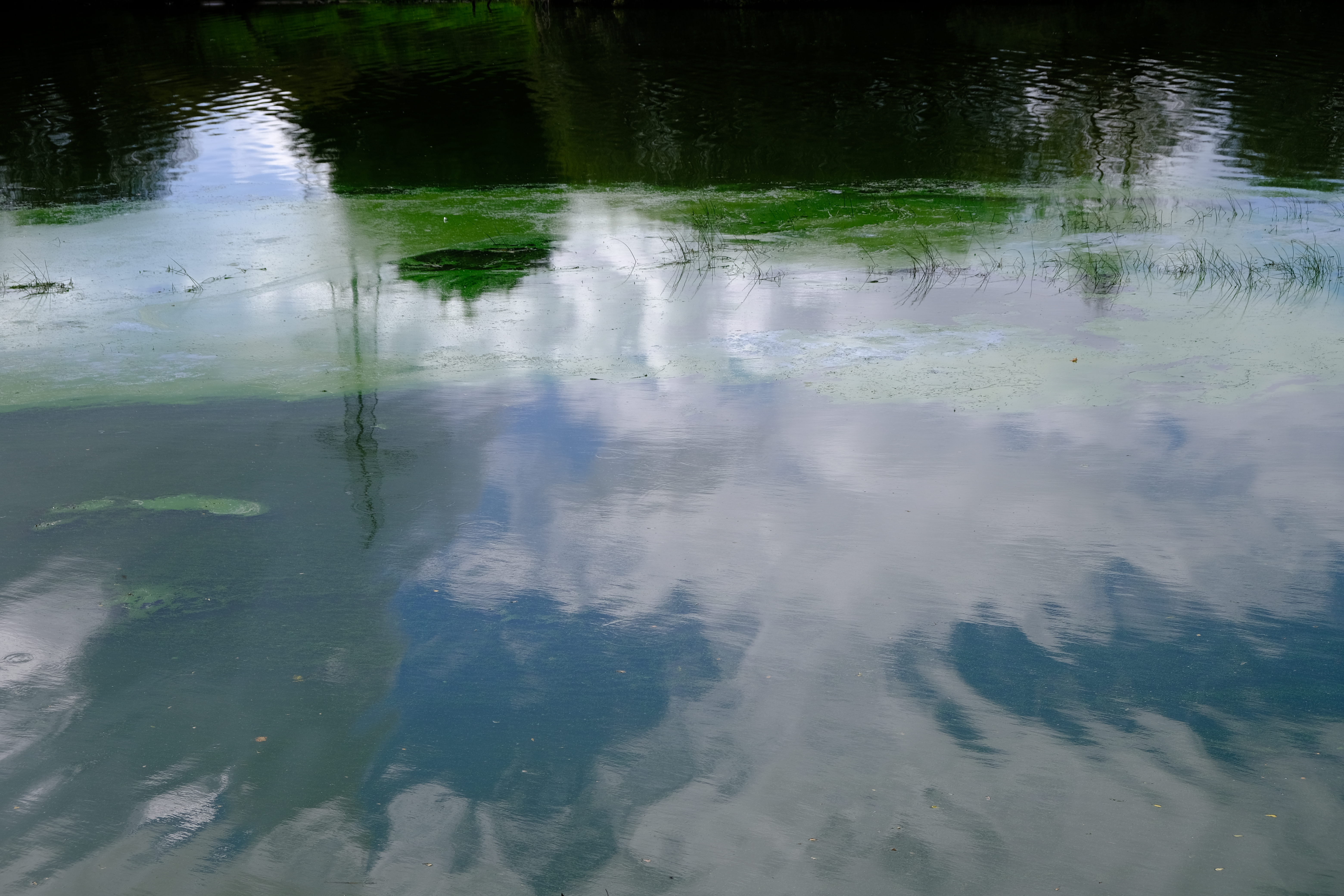 DSCF7088