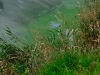DSCF7092