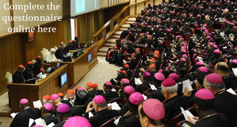 Synod of Bishops Consultation Synod of Bishops Consultation