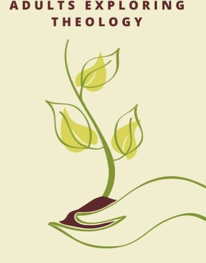 Soil for the Seed September 2016 – April 2018 – Coalisland Soil for the Seed September 2016 – April 2018 – Coalisland